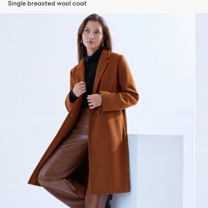 Aritzia - Babaton Stedman coat size M
